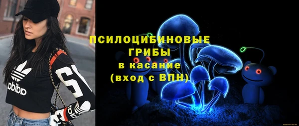 соль ск Богородицк