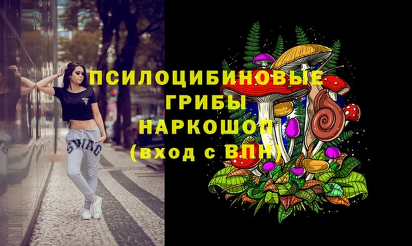 гидропоника Богородск