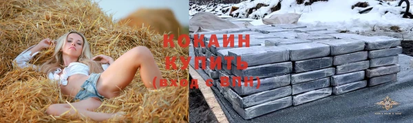 соль ск Богородицк