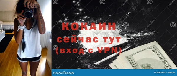 соль ск Богородицк